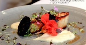 Scallops Black Pudding Cauliflower Puree